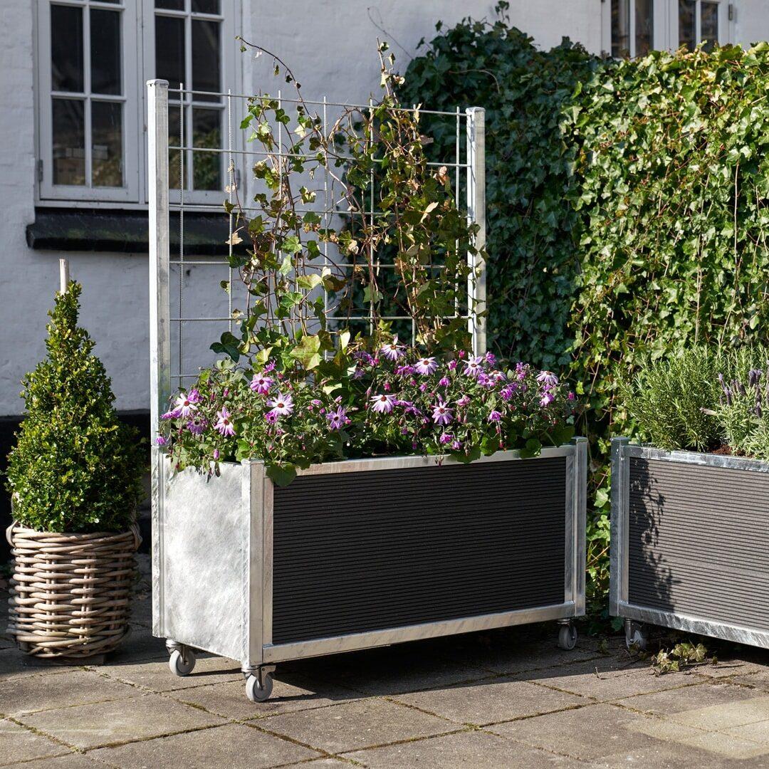 Rektangulær plantekasse i galvaniseret stål med indbygget espalier